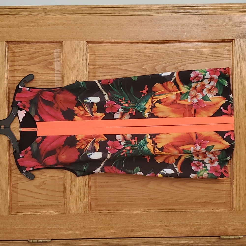 Gorgeous Ted Baker London dress. Ted Baker size 3. This dress is a standout!